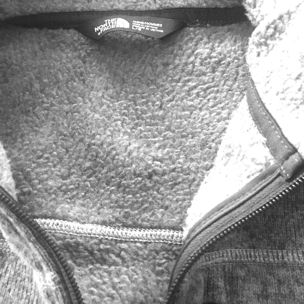 Men’s L North Face fleece vest